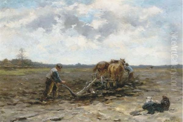 Ploughing The Field - view 1