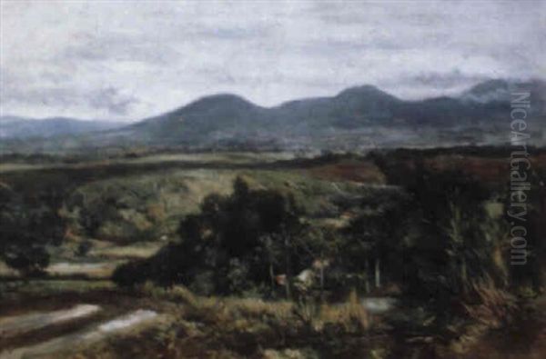 A View Of The Estate P.j.j.a. Geesink, Merapi, Java - view 1