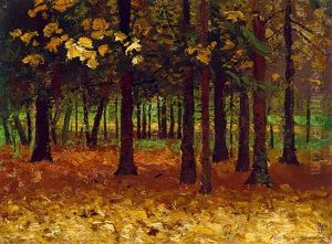 Autumn Forest