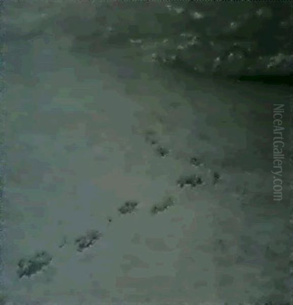 Spuren Im Schnee - view 1