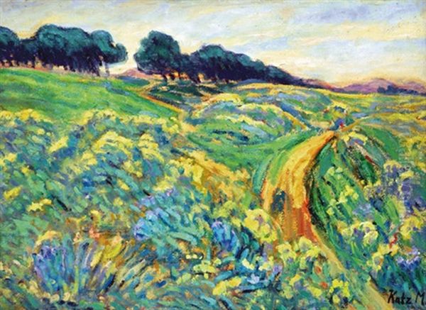Meadow In Baia-mare - view 1