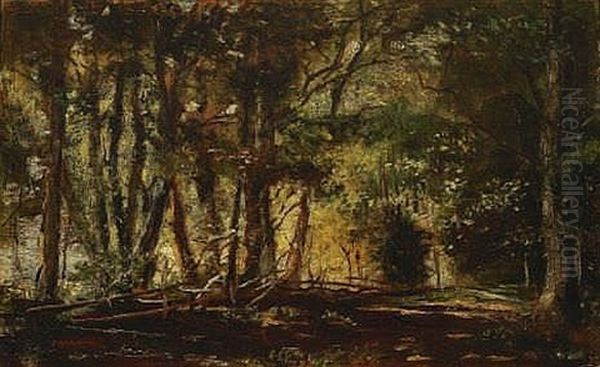 Waldlichtung - view 1