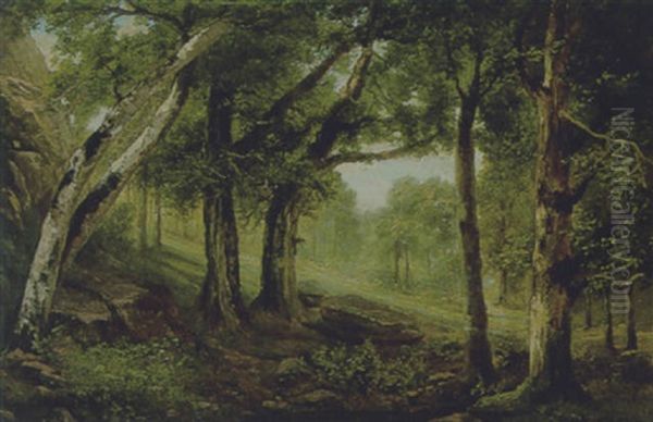 Waldlichtung - view 1