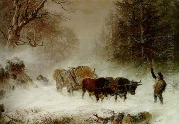 Oxen Pulling A Log Wagon Through The Snow - view 1