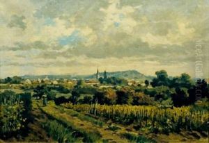 Dans Les Vignes