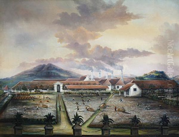 A Sugar Plantation, Trinidad - view 1