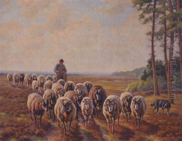 Schafherde In Der Heide - view 1