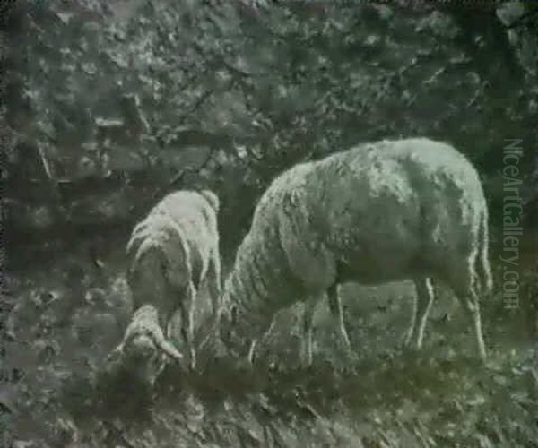 Schafgruppe Auf Weide - view 1