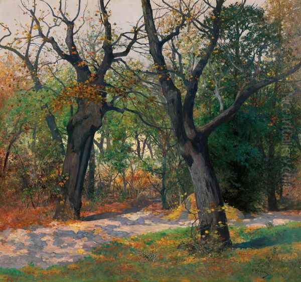 Autumn Morning - view 1