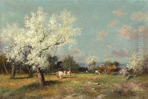 Fruhlingslandschaft Mit Weidenden Kuhen Unter Bluhenden Baumen Und Verstecktem Gehoft