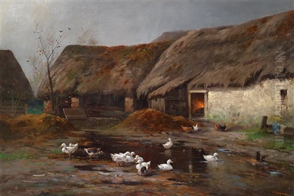 Enten Am Bauernhof - view 1