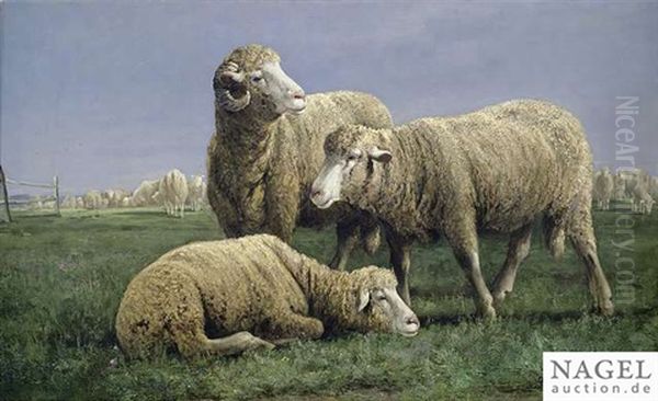 Flock Of Sheep On A Summery Meadow - view 1
