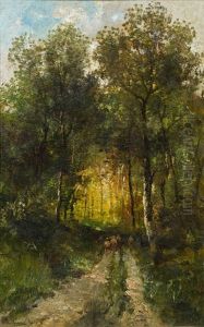 Waldweg Mit Schafherde Waldweg Mit Schafherde