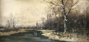 Flusslandschaft Mit Birken