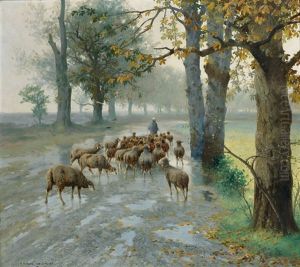 Heimkehrende Schafherde An Einem Regnerischen Herbsttag