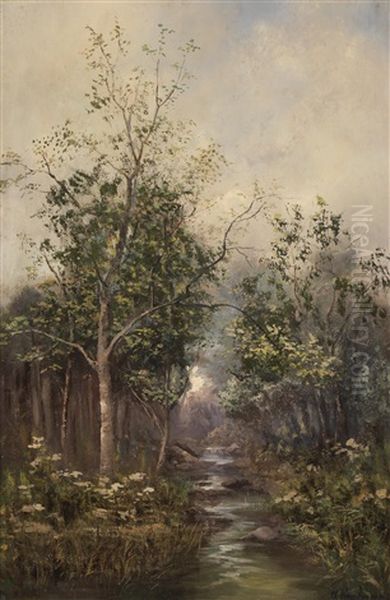 Aulandschaft - view 1