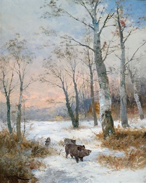 Wildschweine Im Winterwald - view 1