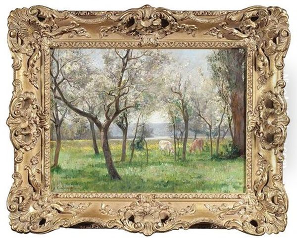 Sommerliche Baumwiese Mit Grasenden Kuhen - view 1