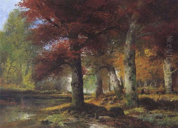 Reisigsammlerin In Herbstlichem Buchenwald - view 1