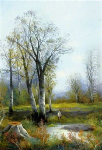 Storch In Einer Auslandschaft - view 1