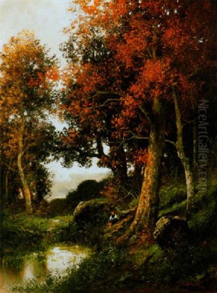 Oszi Erdo (autumn Forest) - view 1