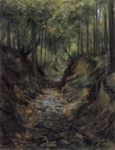 Waldinneres Waldinneres