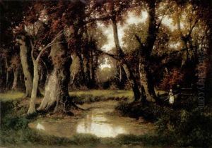 Herbstwald Mit Teich Herbstwald Mit Teich