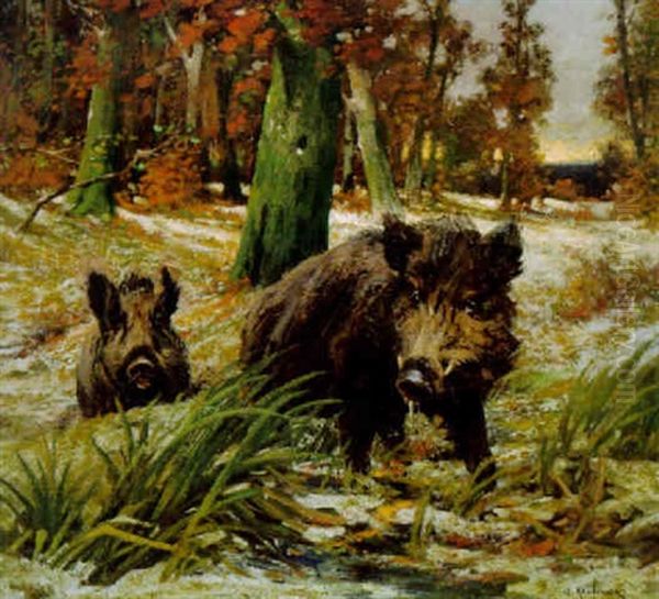 Wildschweine Im Winterwald - view 1