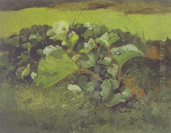 Wiesenboden - view 1