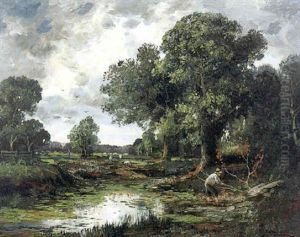 Reisigsammler Im Auwald
