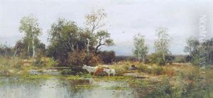 Environs De Versailles