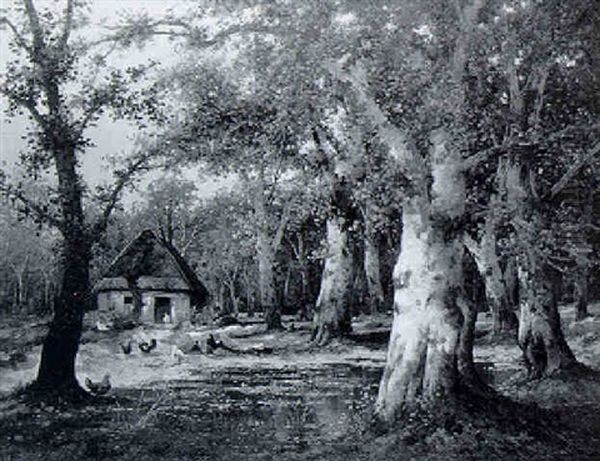 Bauernhaus Im Herbstlichen Birkenwald - view 1