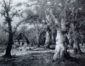 Bauernhaus Im Herbstlichen Birkenwald by Adolf Kaufmann