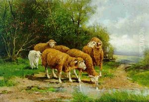 Schafe An Der Tranke by Adolf Kaufmann