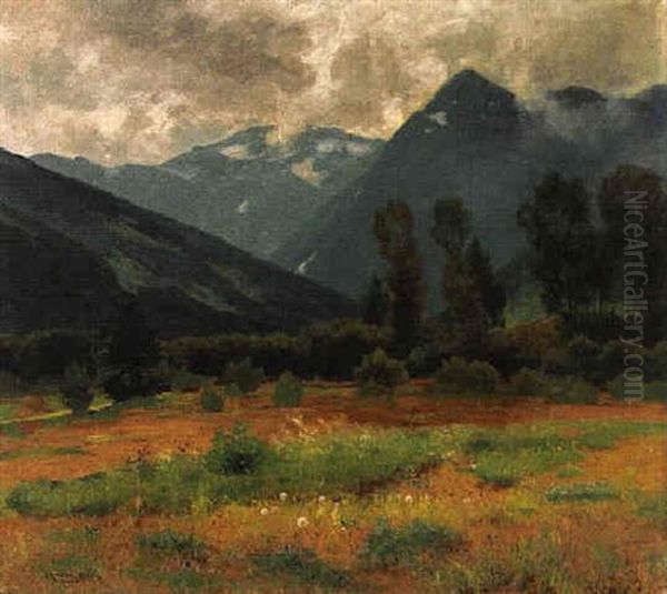Blich Auf Den Uberferner Von Sterzig Aus - view 1