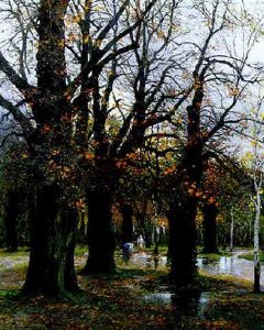 Reisigsammler Im Herbstwald by Adolf Kaufmann