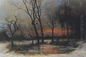 Winterabend Im Laubwald