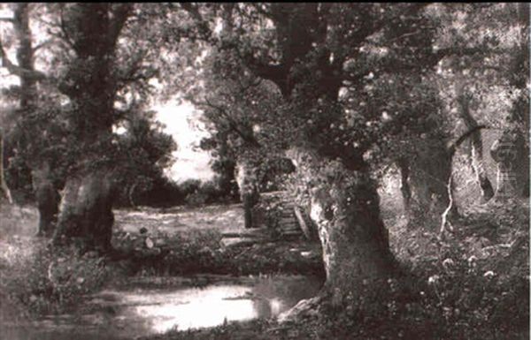 Am Waldteich - view 1