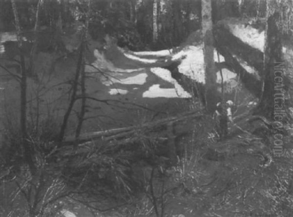 Holzleserin An Einem Sommertag Im Wald - view 1