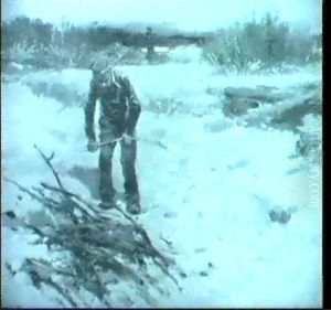 Beim Holzsammeln Beim Holzsammeln