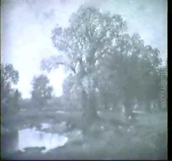 Wiesenlandschaft Im Fruhling - view 1