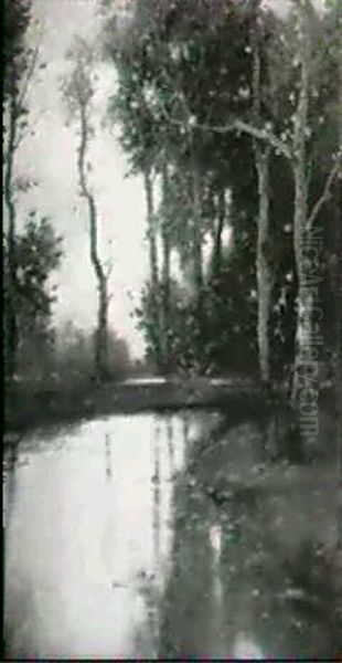 Waldbach - view 1
