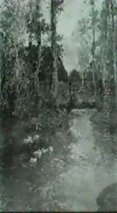Teichlandschaft