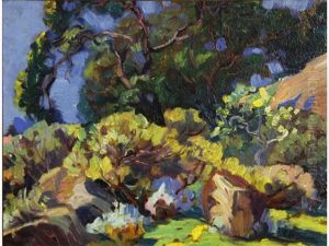 Valley Of Trees And Rocks