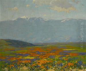 Blooming Wildflowers