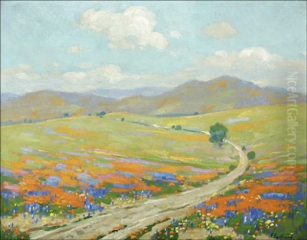 Landscape - Wildflowers - view 1