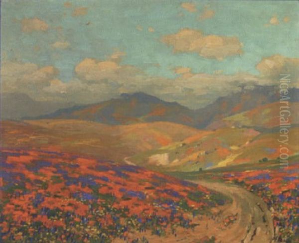 Where The Wild Flowers Are Blooming In The Foothills Of The Tehachapi Mts. - view 1