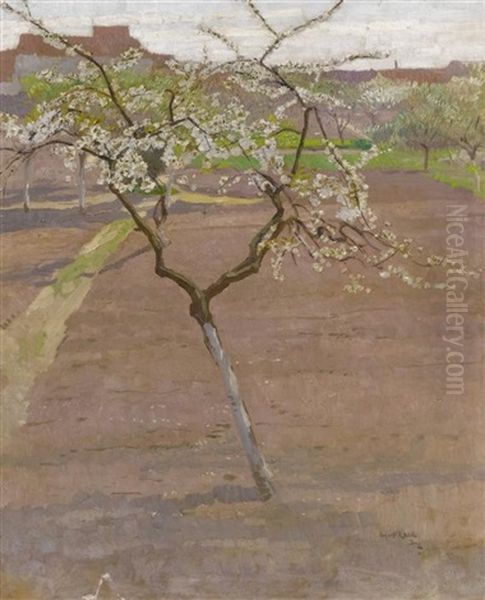 Bluhender Obstbaum - view 1