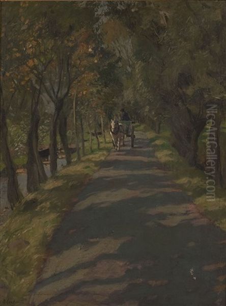 Kutschfahrt Auf Waldweg - view 1
