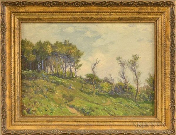 Windswept Hillside - view 1